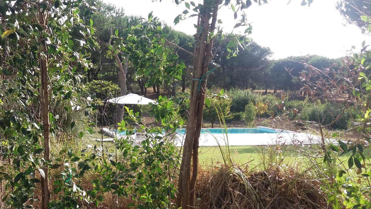 Casa Rio da Prata Aldeia do Meco Exterior foto